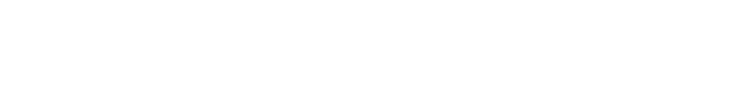David Wowchuk Visuals Logo (white)